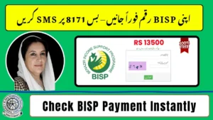 8171 SMS Code Service 2026: Check BISP Payment Fast
