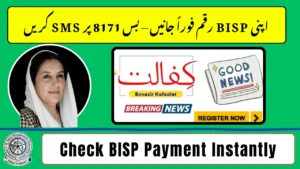 8171 Benazir Kafalat Program 2026 Registration Guide