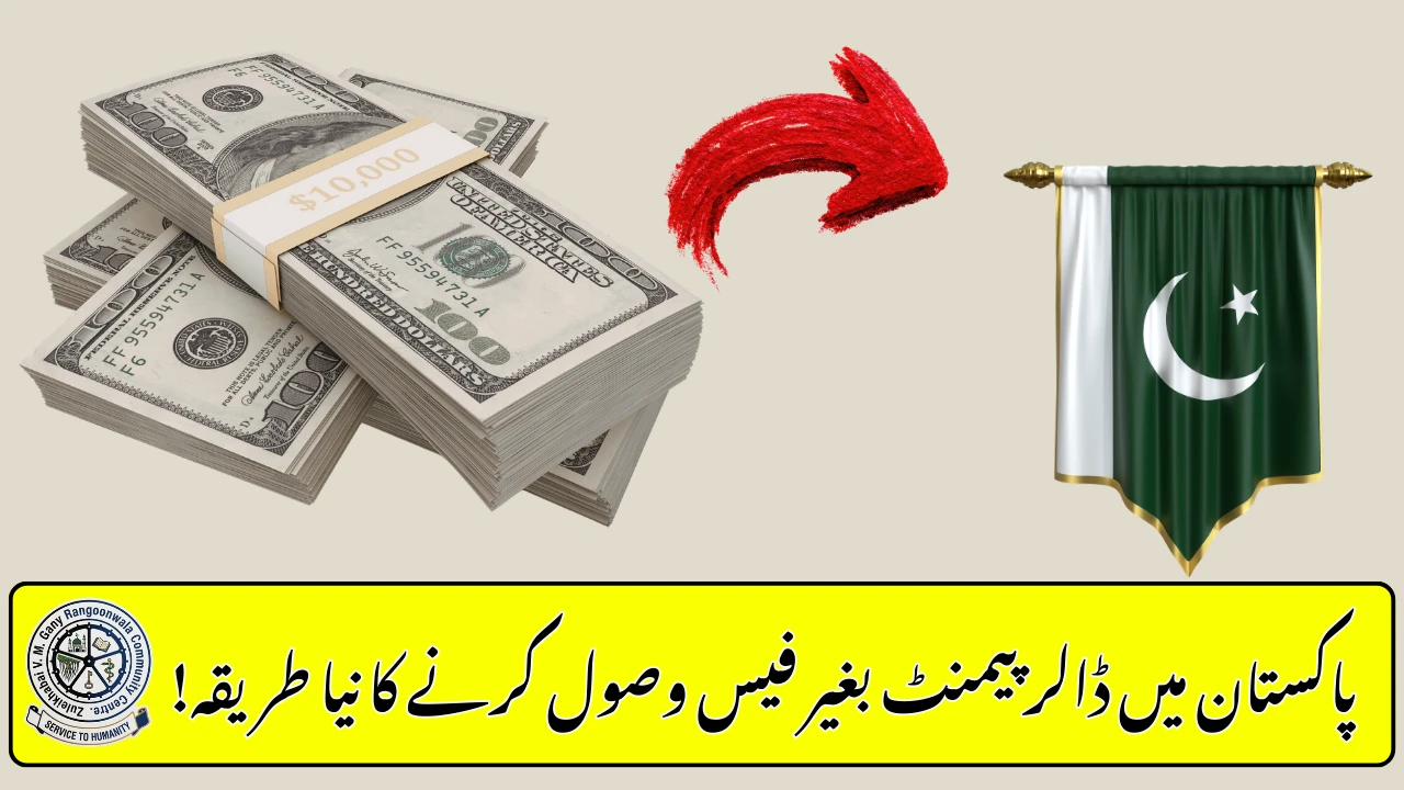 Pakistani Freelancers Can Now Receive Dollar Payments Without Fees