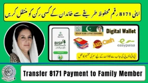 Transfer 8171 Payment to Another Family Member Guide
