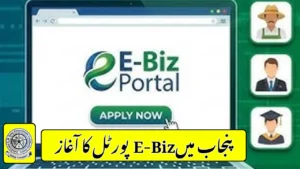 Punjab Launches E-Biz Portal With 252 Online Government Services